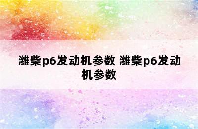 潍柴p6发动机参数 潍柴p6发动机参数